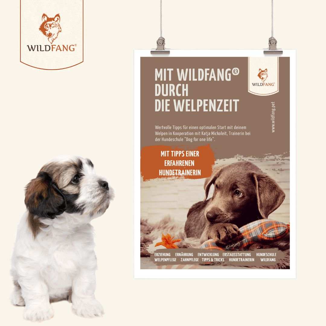 Wildfang® Welpenguide-Hundebedarf-Wildfang.pet