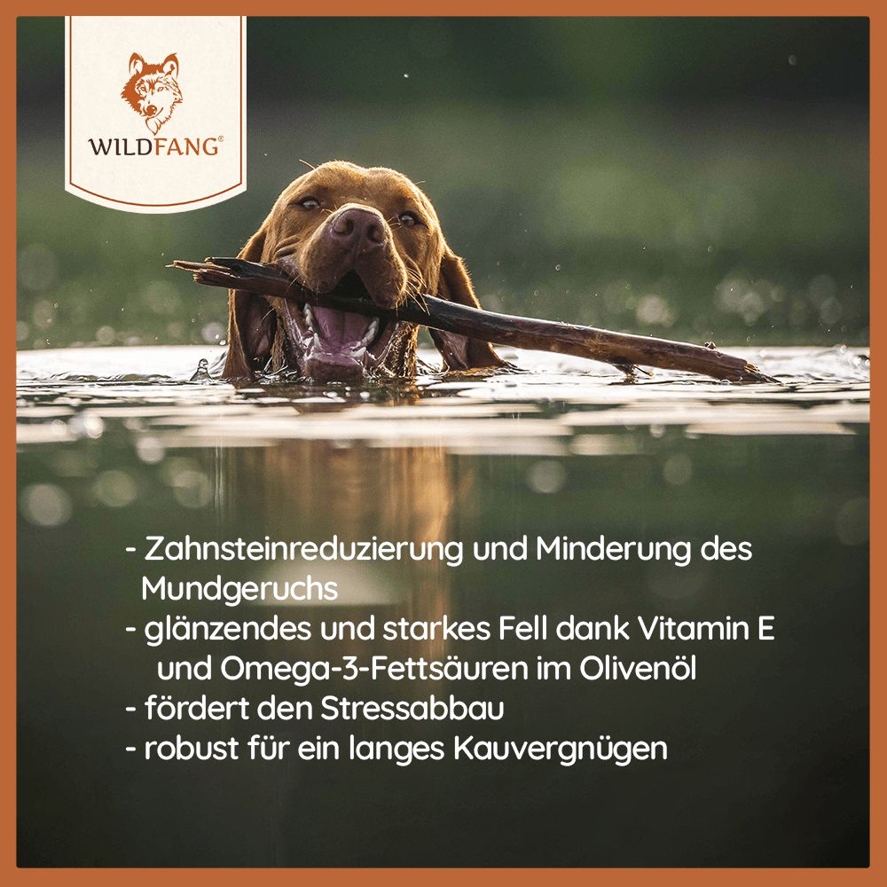 3er Set | Kaustab vom Olivenholz-Hundespielzeug-Wildfang.pet