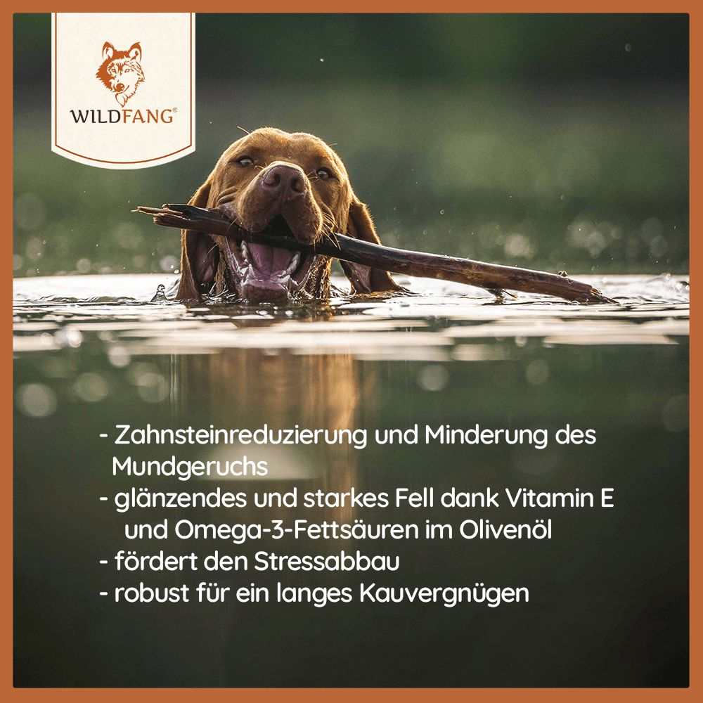 Kaustab vom Olivenholz-Hundespielzeug-Wildfang.pet