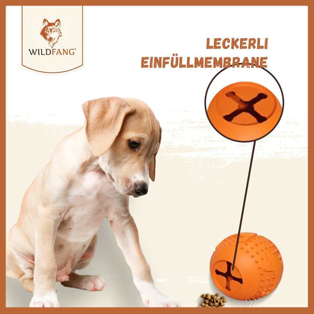 Snackball "Simba" | Naturkautschuk-Hundespielzeug-Wildfang.pet