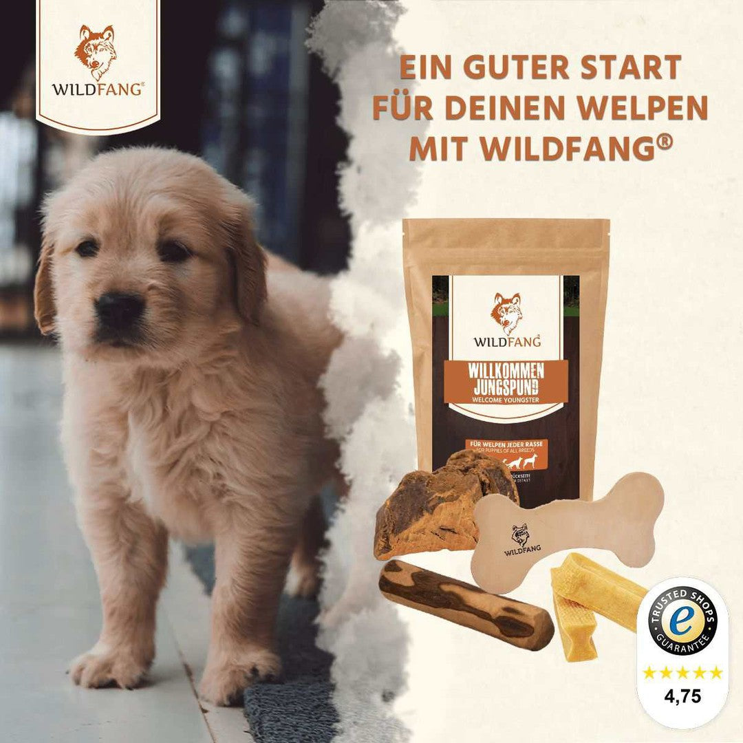 Welpen Paket "Willkommen Jungspund"-Hundespielzeug-Wildfang.pet
