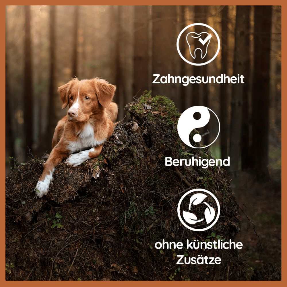 Welpen Paket "Willkommen Streuner"-Hundespielzeug-Wildfang.pet