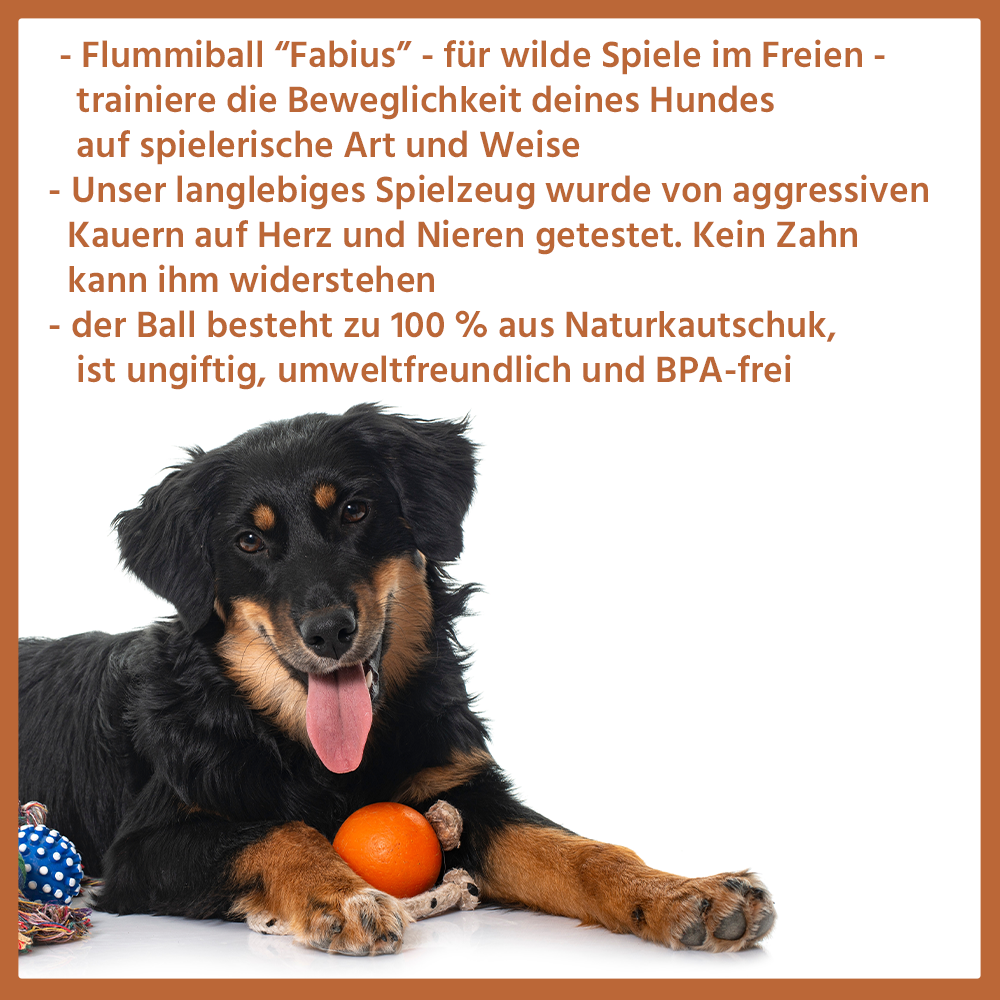 Kauspielzeug Flummiball "Fabius" - 100% Naturkautschuk-Wildfang-