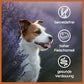 6er Set | Huhn pur (à 400g) | B.A.R.F. Qualität | Nassfutter-Leckerbissen für Hunde-Wildfang.pet