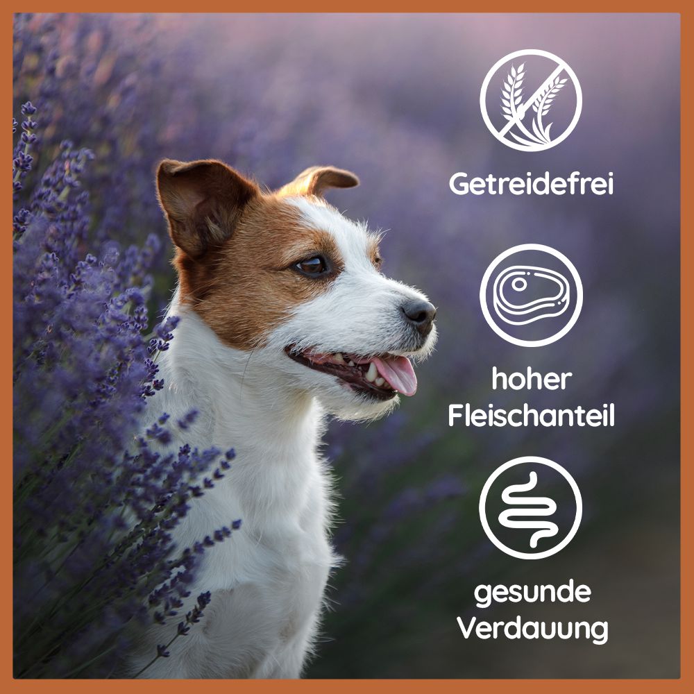 6er Set | Nassfutter Mix | Huhn und Rind pur (à 400g) | B.A.R.F. Qualität-Leckerbissen für Hunde-Wildfang.pet