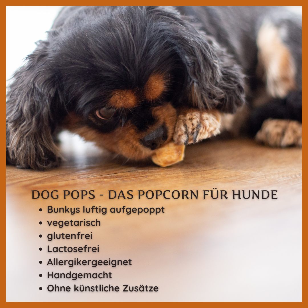 Dog Pops - Käse-Popcorn für Hunde-Leckerbissen für Hunde-Wildfang-