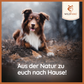 Nassfutter Mix Huhn & Rind pur - BARF Qualität - 6er Set-Leckerbissen für Hunde-Wildfang-