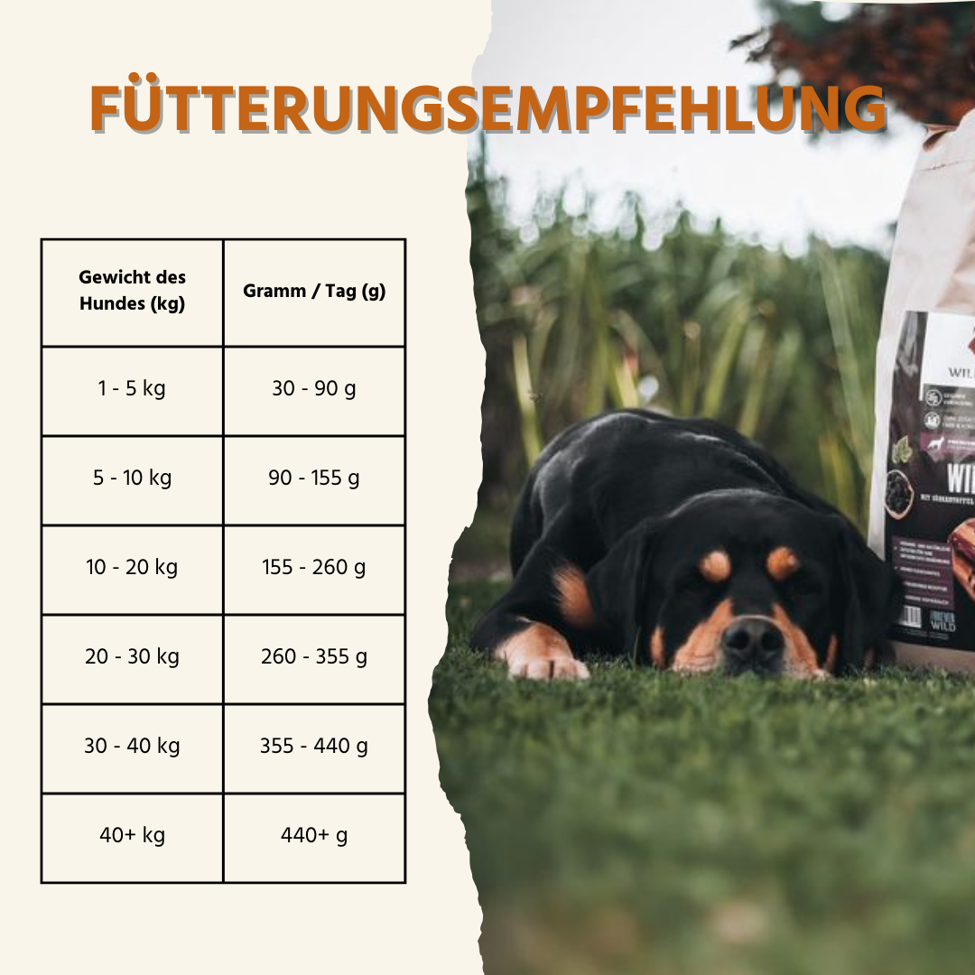 Adult Trockenfutter mit Kaninchen - getreidefrei-Hundefutter-Wildfang.pet-